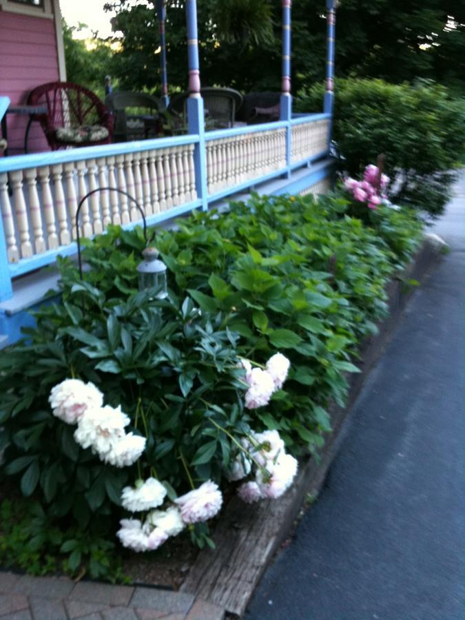 Rose & Thistle Bed & Breakfast คูเปอร์สทาวน์ ภายนอก รูปภาพ
